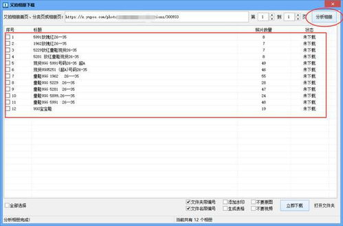 网站图片采集工具 能一键批量解析下载又拍相册商品图片